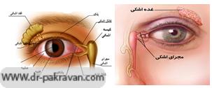تولید اشک در غده اشکی و دفع آن از مجرای اشکی به داخل حفره بینی